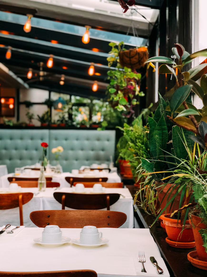 A conservatory dining room with white tablecloths, plants and warm filament bulbs
